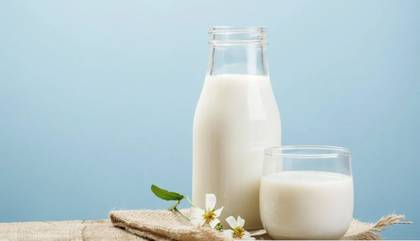 Plain Cow Milk
