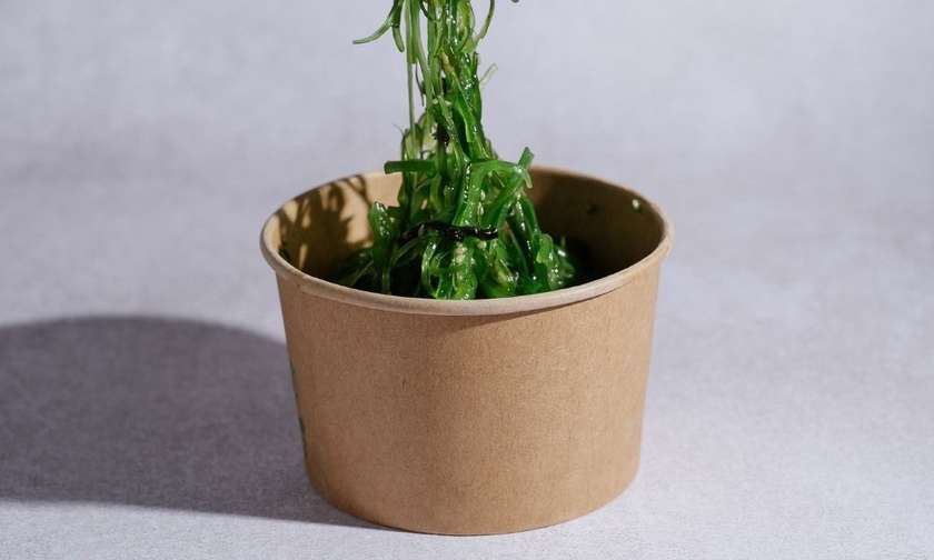 Goma wakame