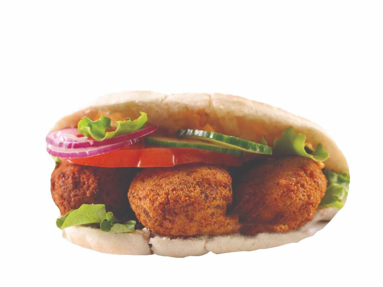 Doner Vegetable kebab