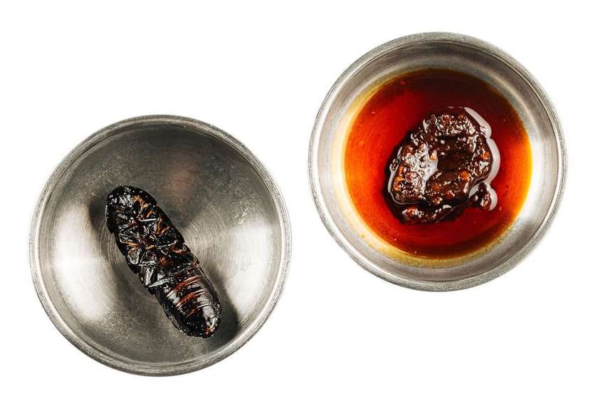 Crispy Madagascar Cockroach