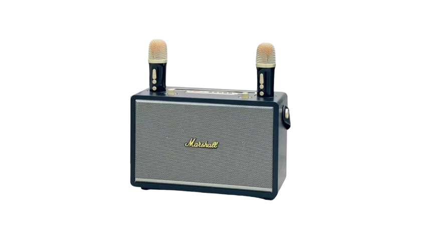 Marshall Wireless Karaoke Speaker