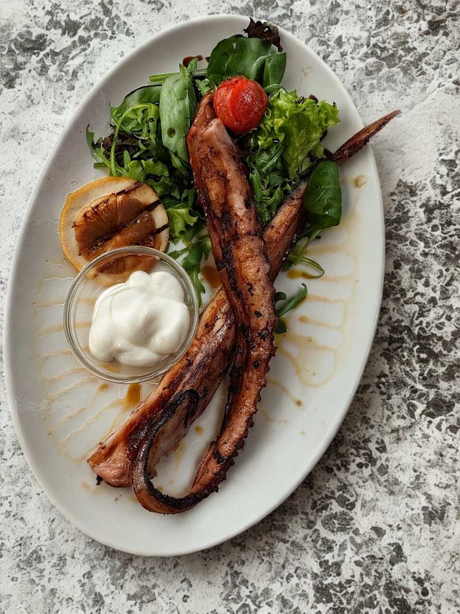 Squid Tentacles