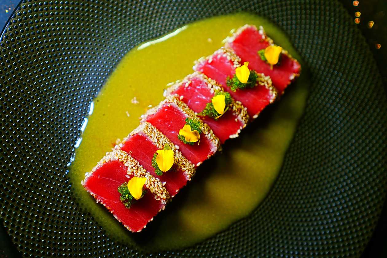 Maguro Tataki (6 pcs)