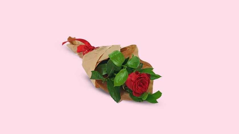Single Red Rose