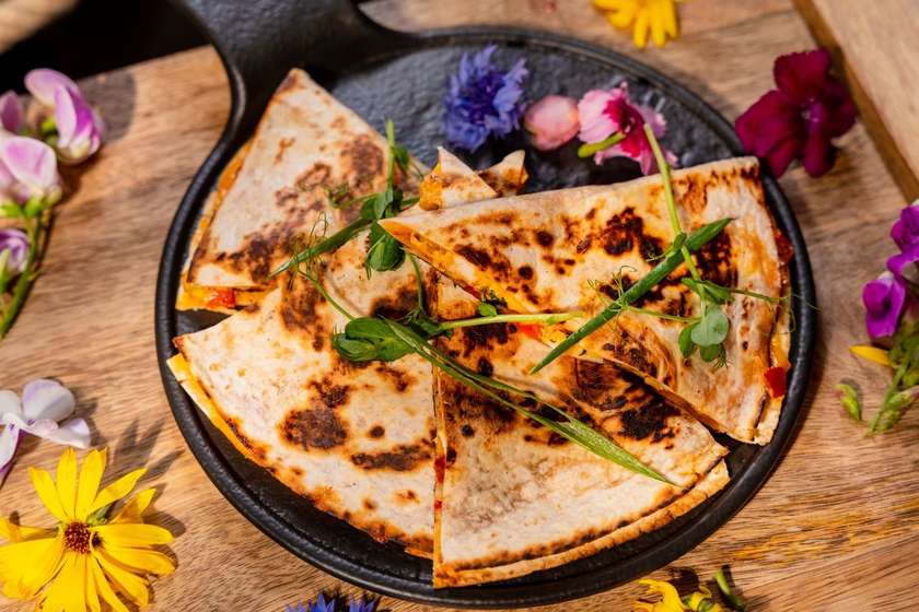 Chicken Quesadilla