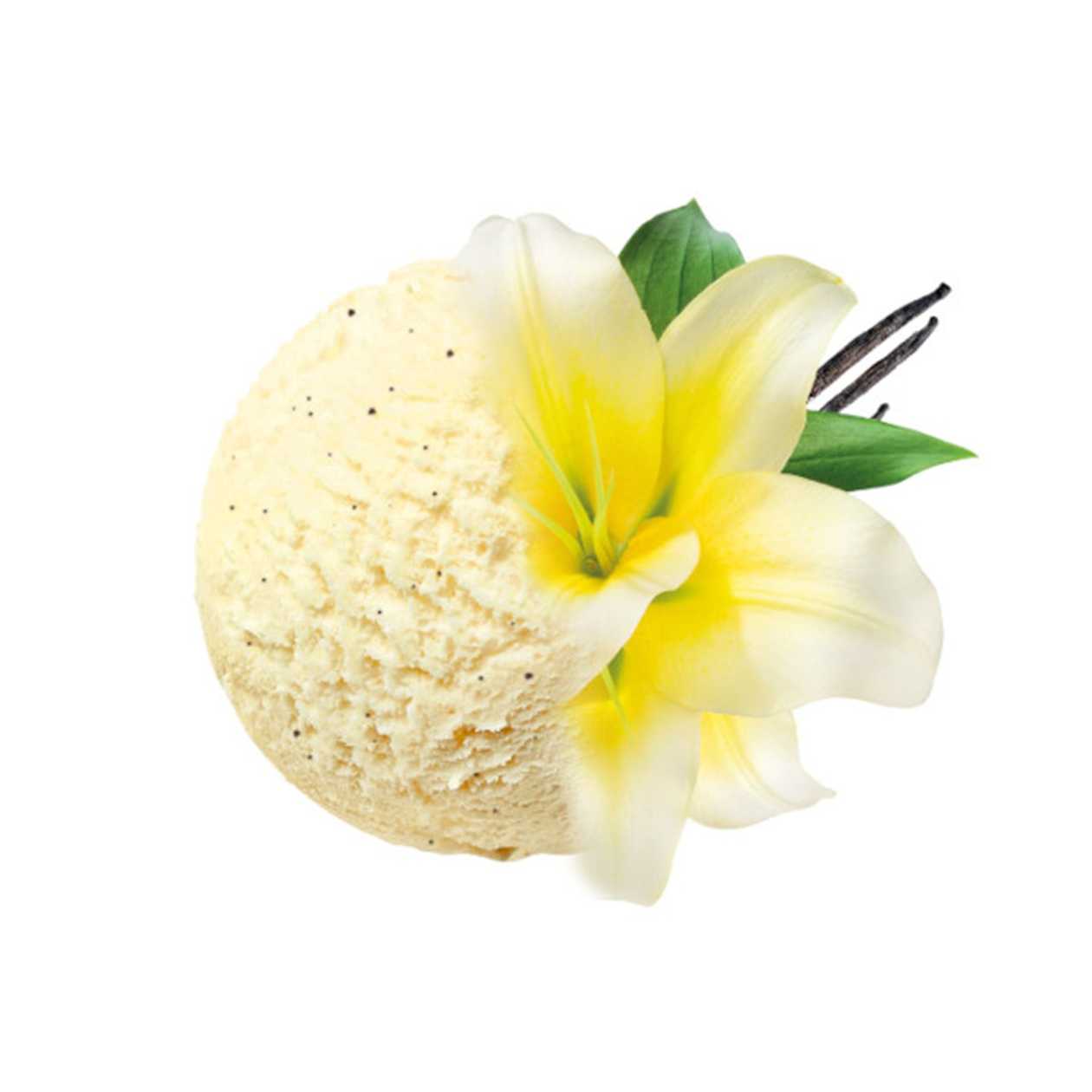 Vanilla ice cream