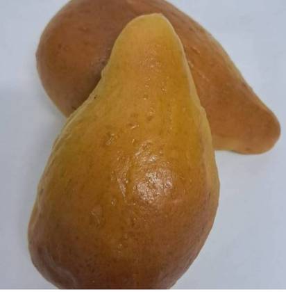 Bicos de Pato