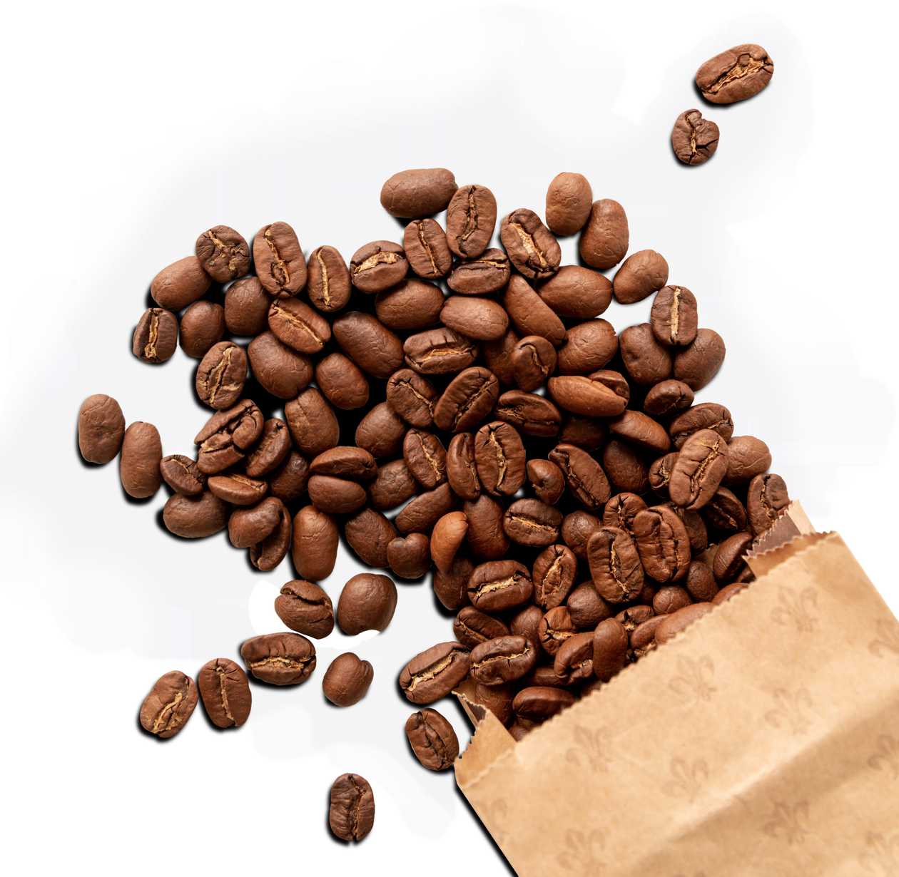 Ezar Noir Coffee Blend - 100% Arabica 1 Kg