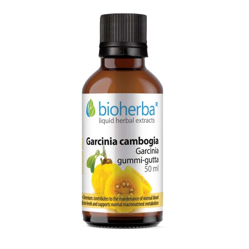 9993076 Garcinia Cambogia Tincture, 50 ml, Bioherba