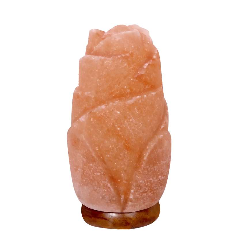 9994440 Pink Himalayan Salt Lamp Rose, 20 cm, M&A Minerals Rainbow