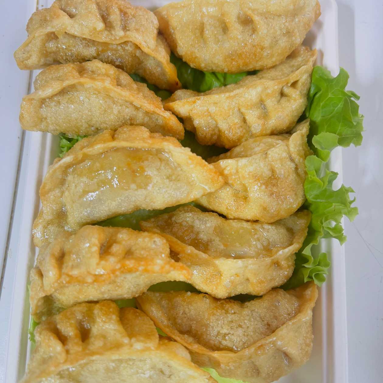 Gyoza vegano 10 pcs