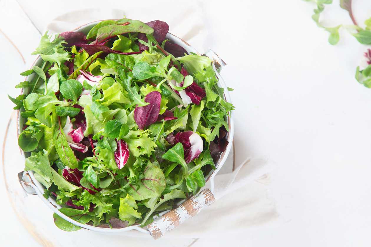 Leaf Salad
