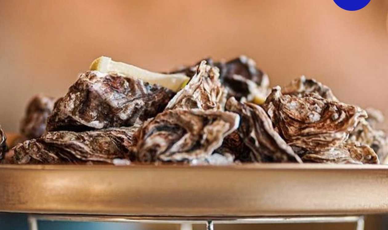 Fine de Claire Oysters