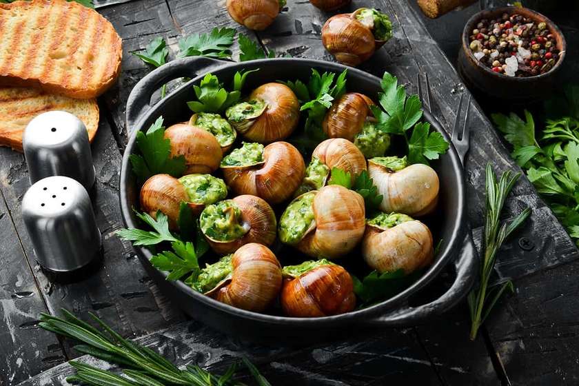 Snails