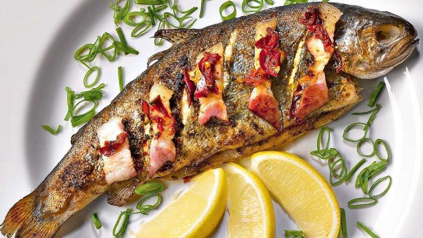 Trout