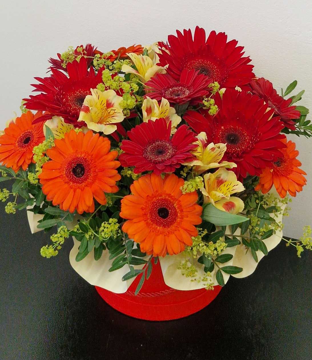 Gerbera karbis
