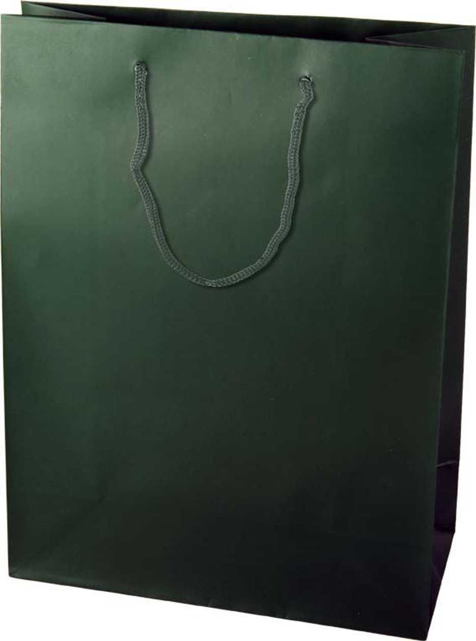 Gift Bag Color Dark green 16x8x19