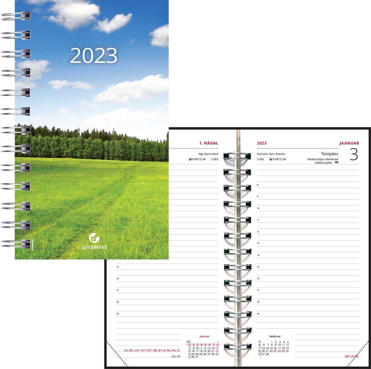 Calendar Content - Miniboss Day, Spiral Bound