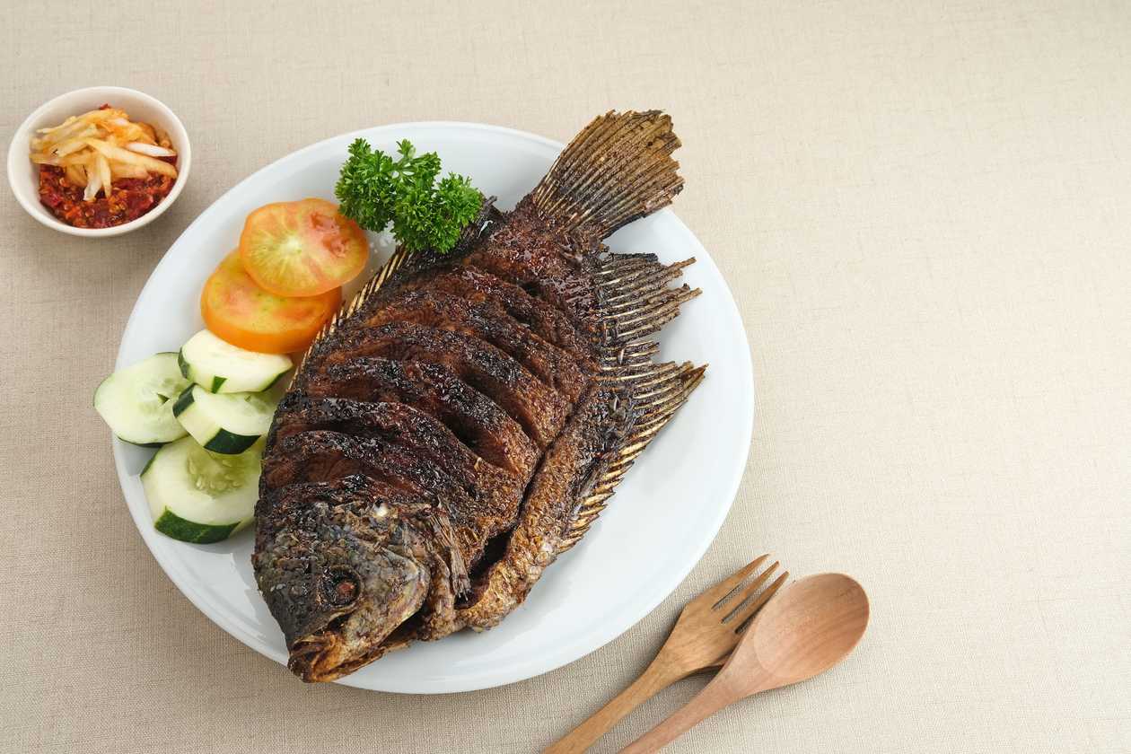 Fish