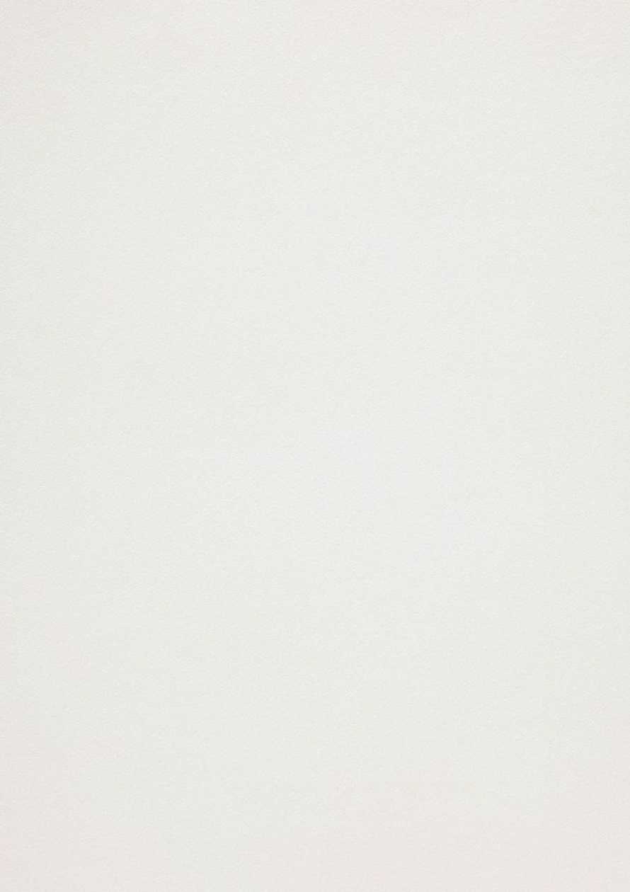Design Paper Curious Metallics Ice Silver A4/50 l 120 g