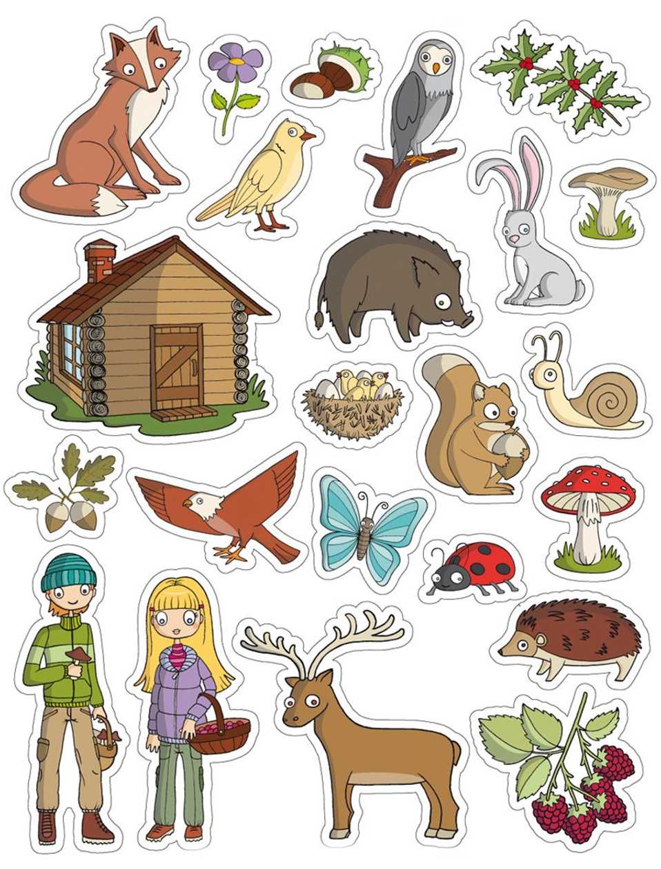 Educational Stickers forest, Removable, 276 Pcs, Apli