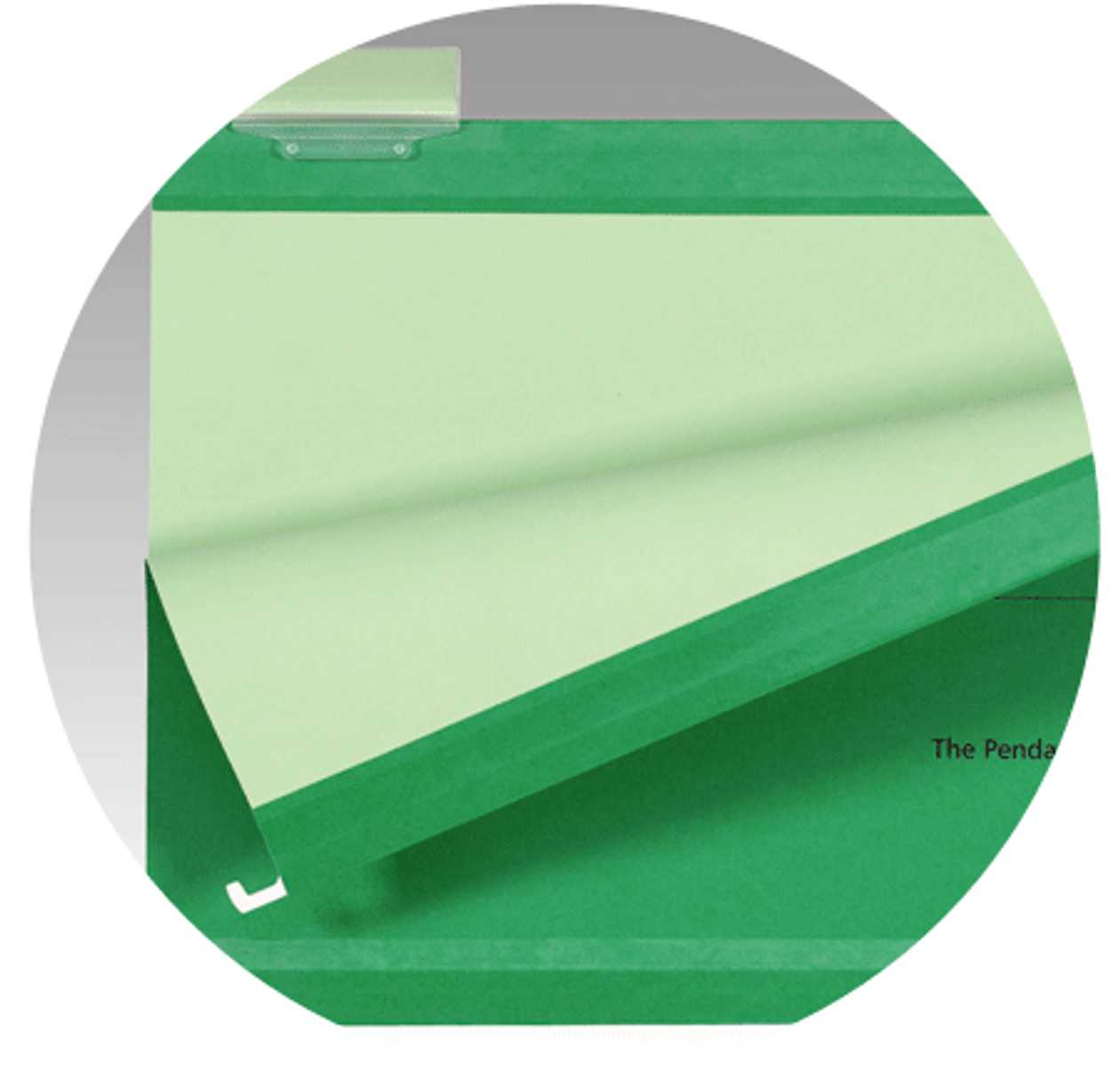 Hanging Covers A4 Esselte Pendaflex green, 31.7x24 cm