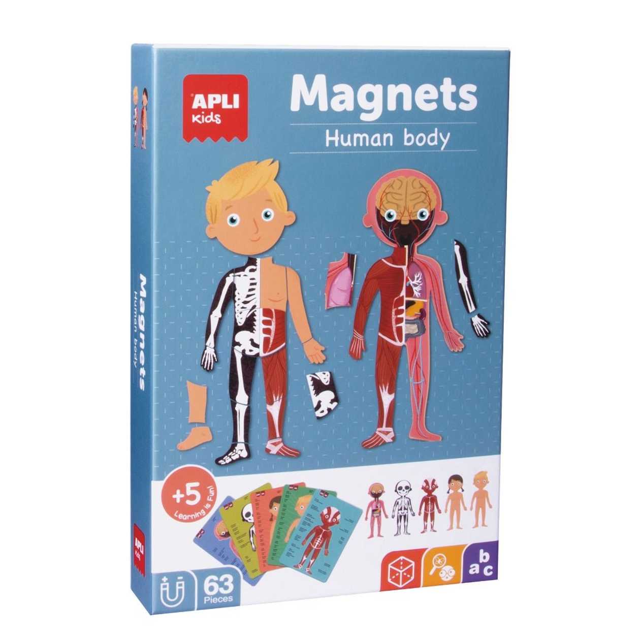 Magnetic Game Human Body, Base 28x18 cm + 63 Magnets, Apli 5+