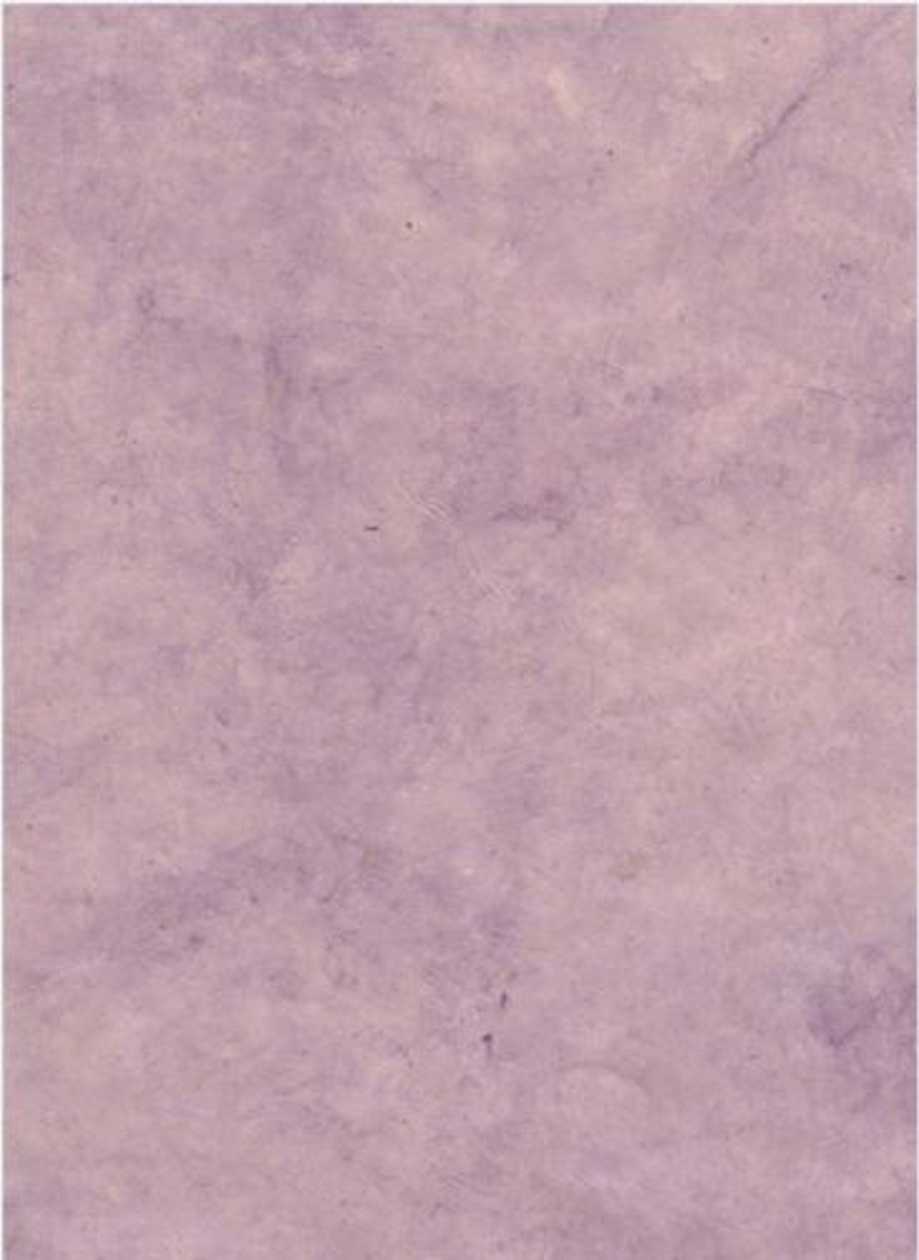 Nepalese Paper A4 14 Orchid