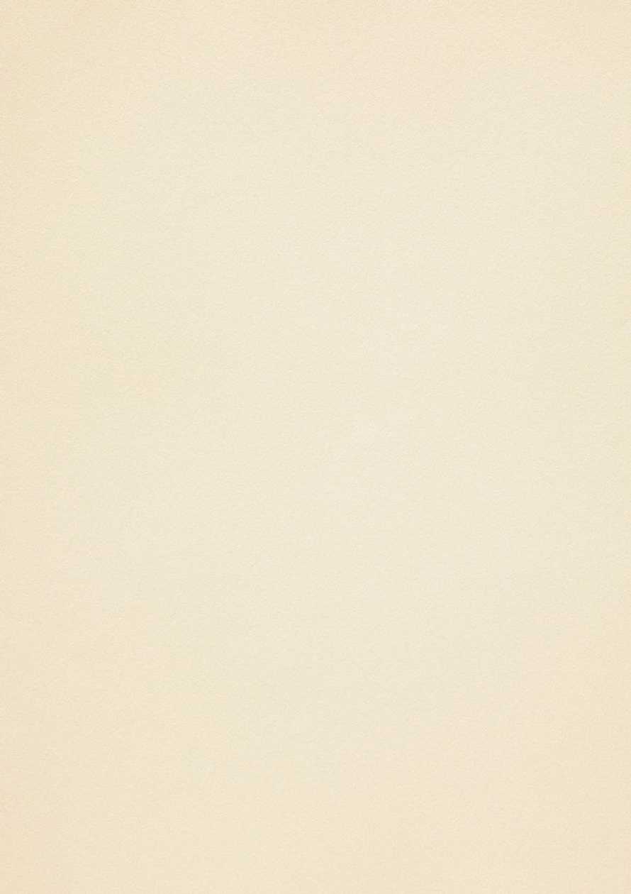 Design Paper Curious Metallics White gold A4/50 l. 120 g