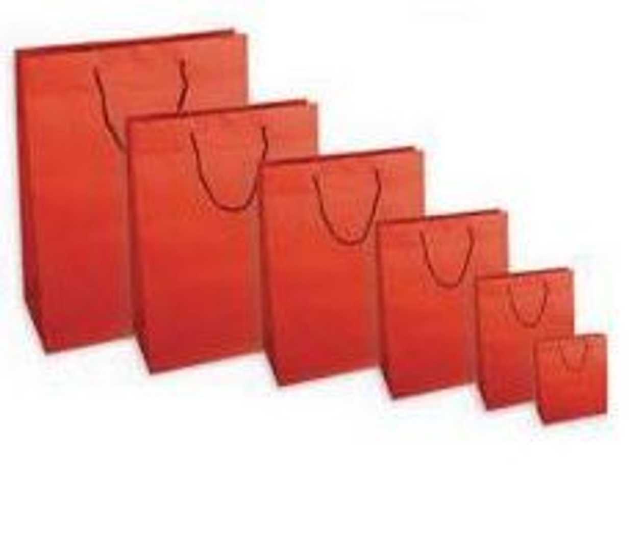 Gift Bag Color Red 10x6.5x12