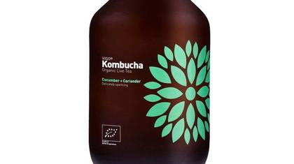 Vigo Kombucha Cucumber with Coriander