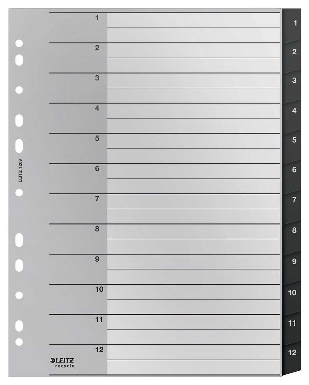 Index Pages 1-12 Plastic A4 Maxi 255x323 mm, Leitz Recycle Black