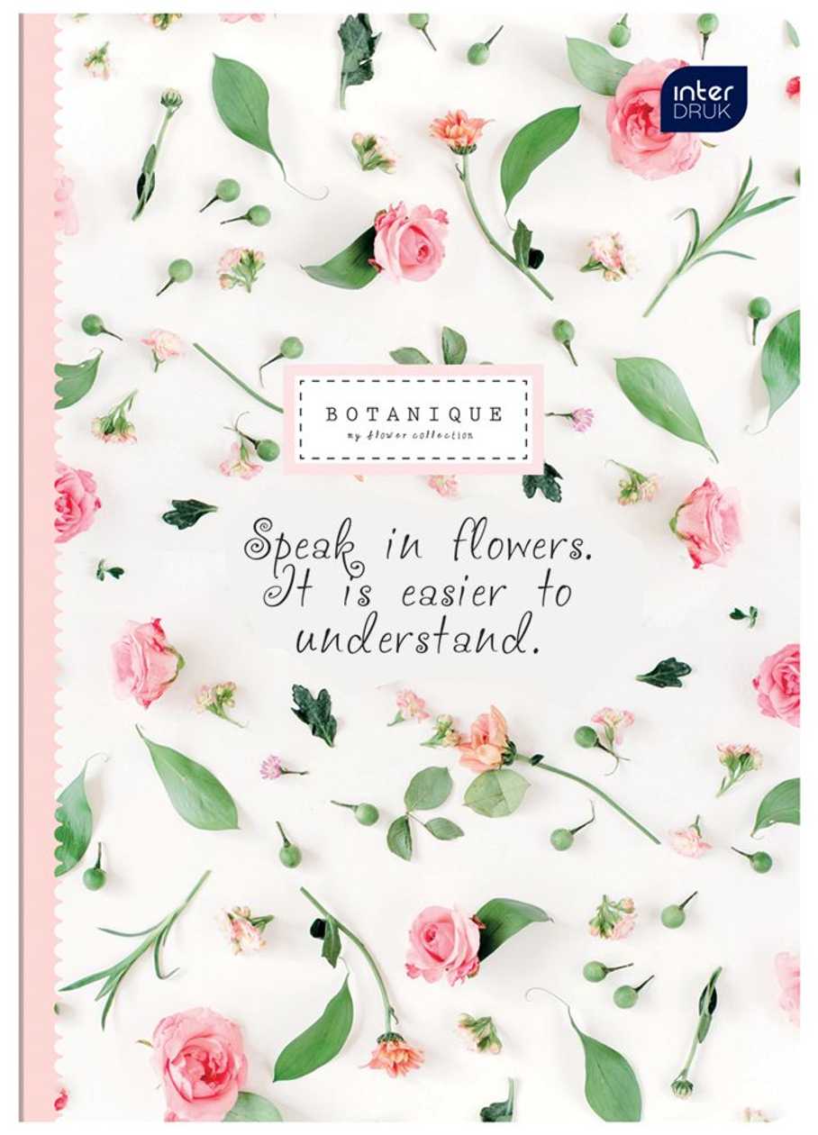 Folder 170X203 48 Sheets, Line, Paradise Mix Interdruk