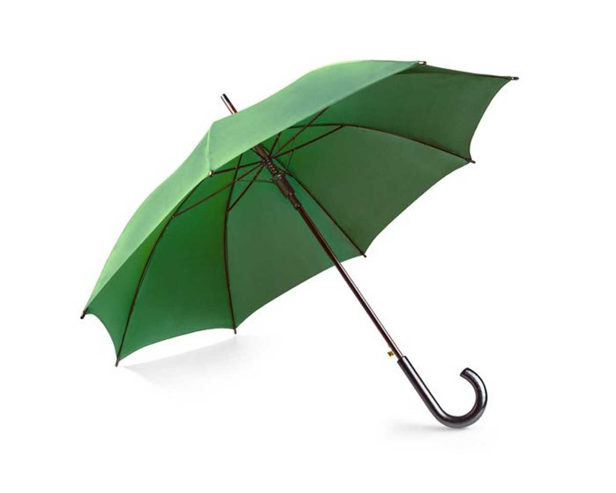 Umbrella Stick green