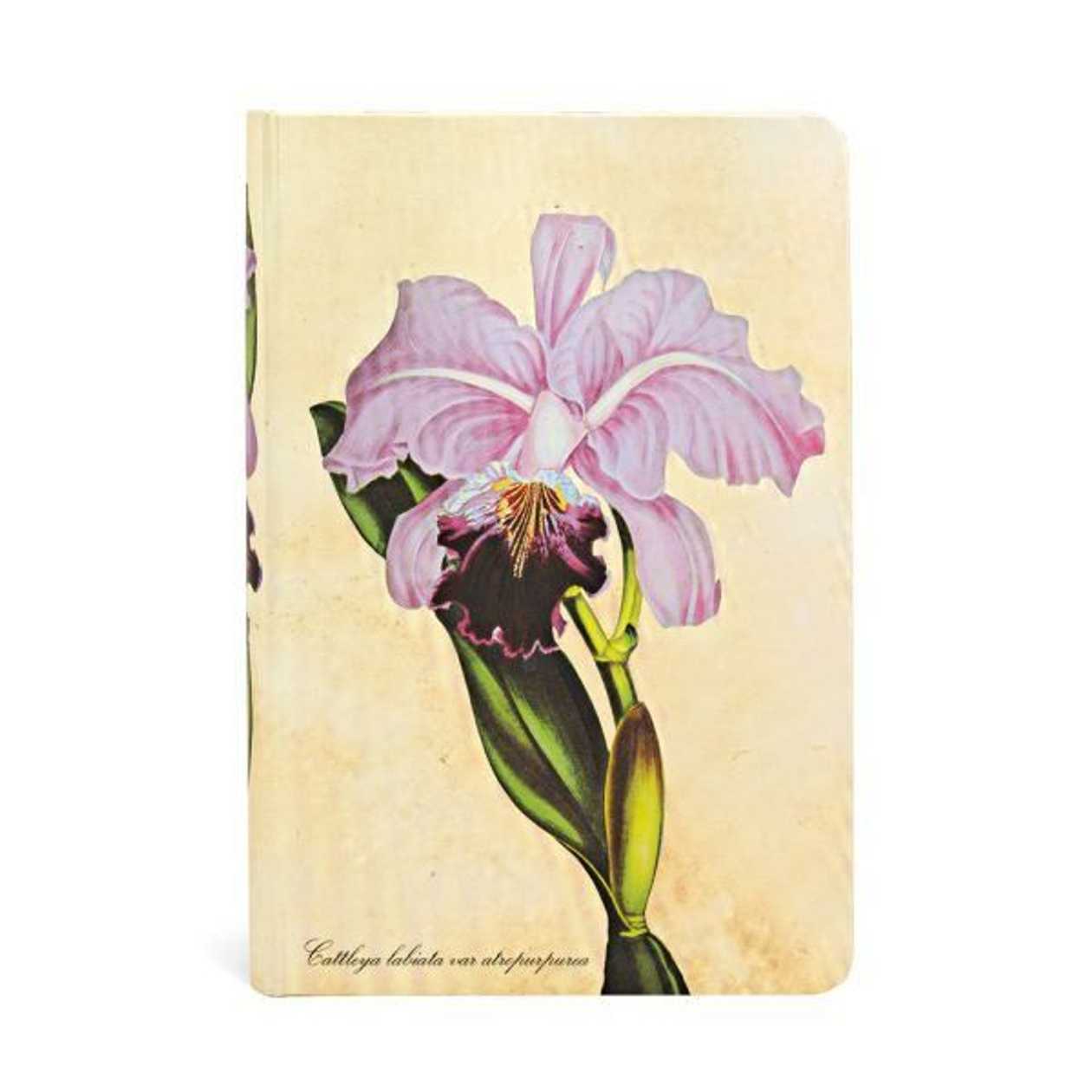 Notepad Paperblanks Brazilian Orchid Mini Ruler