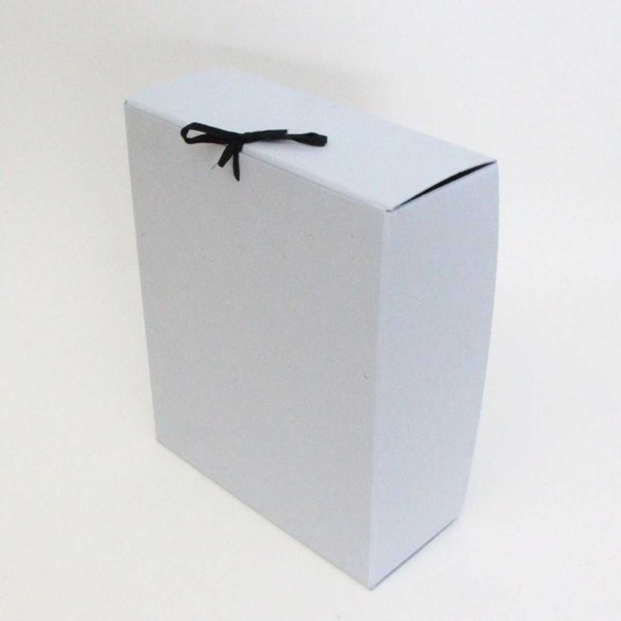 Archive Box with Ribbons 350x280x120 mm Surface Spread, Archival Permanent