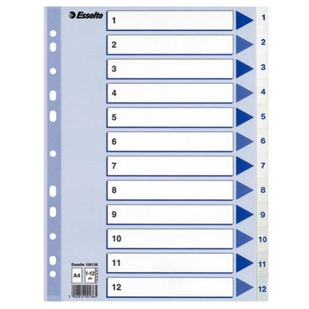 Index Pages 1-12 Plastic, White, Esselte