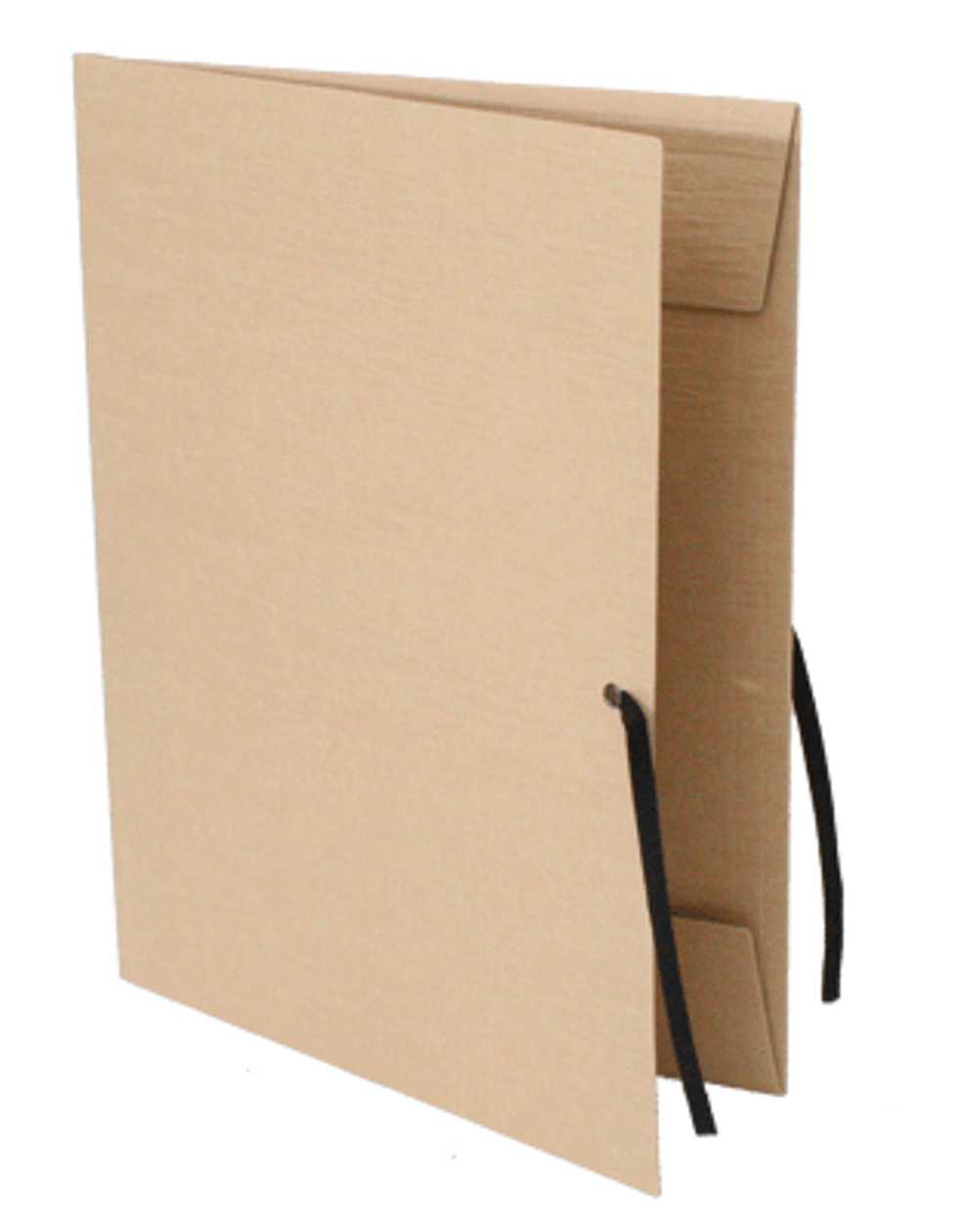 Cardboard Folder A3 with Ribbons - Cork Tree