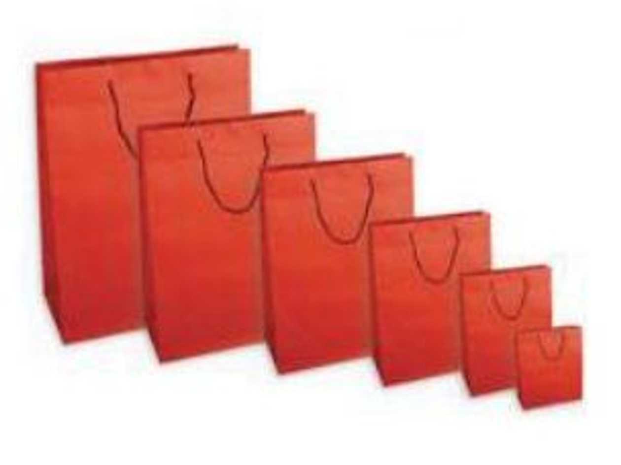 Gift Bag Color Red 16x8x19