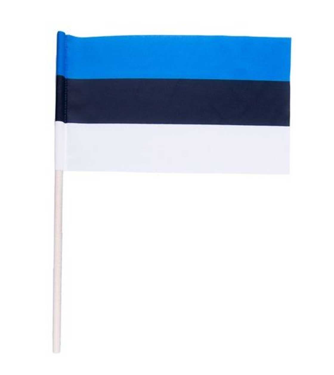 Hand Flag Estonia 25x39cm