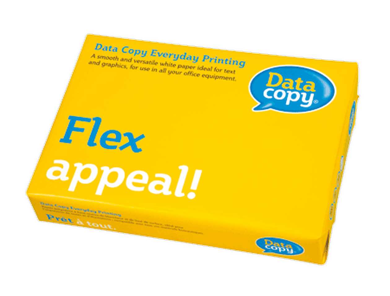 Copy Paper A4 80 g Data Copy 500 Sheets/p kg.