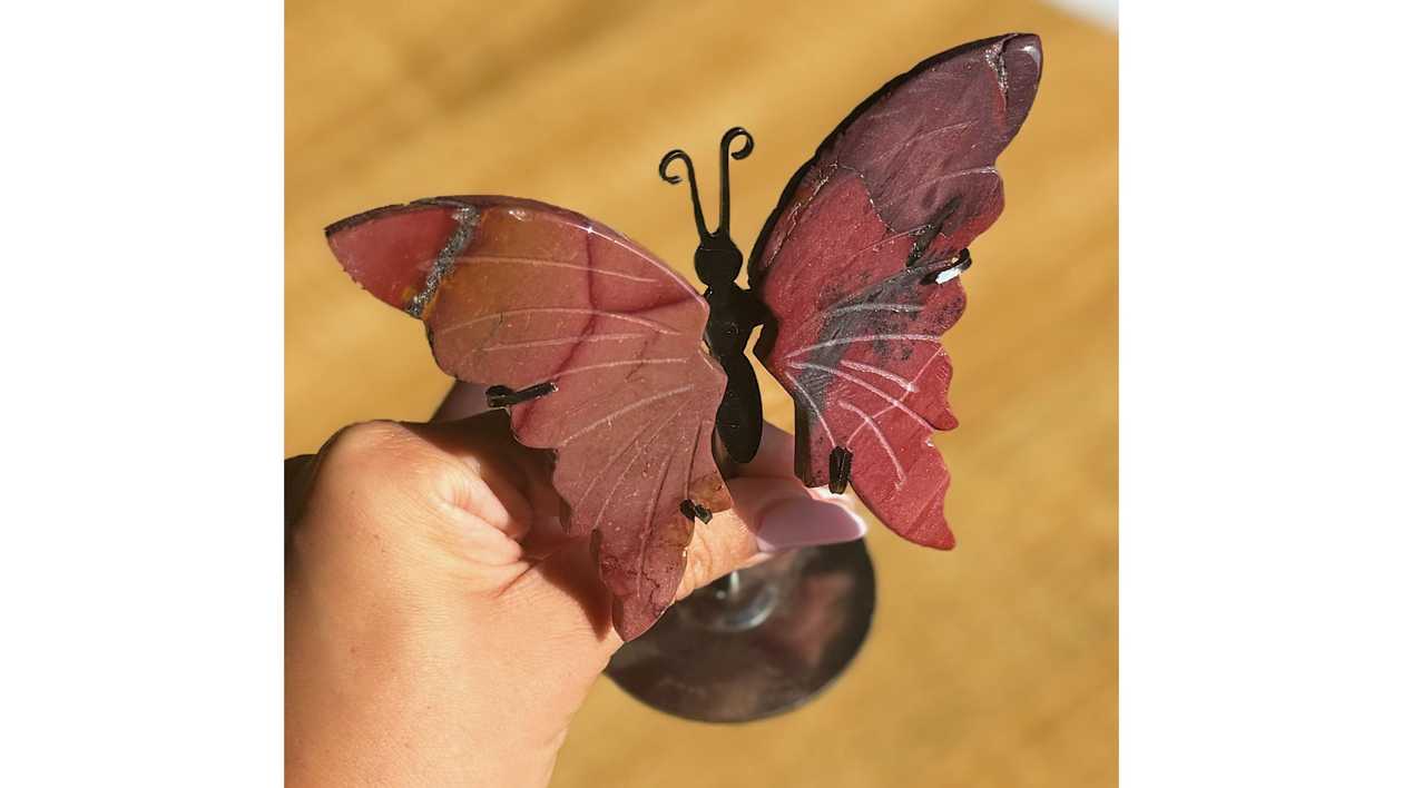 Wings of the Earth Witch