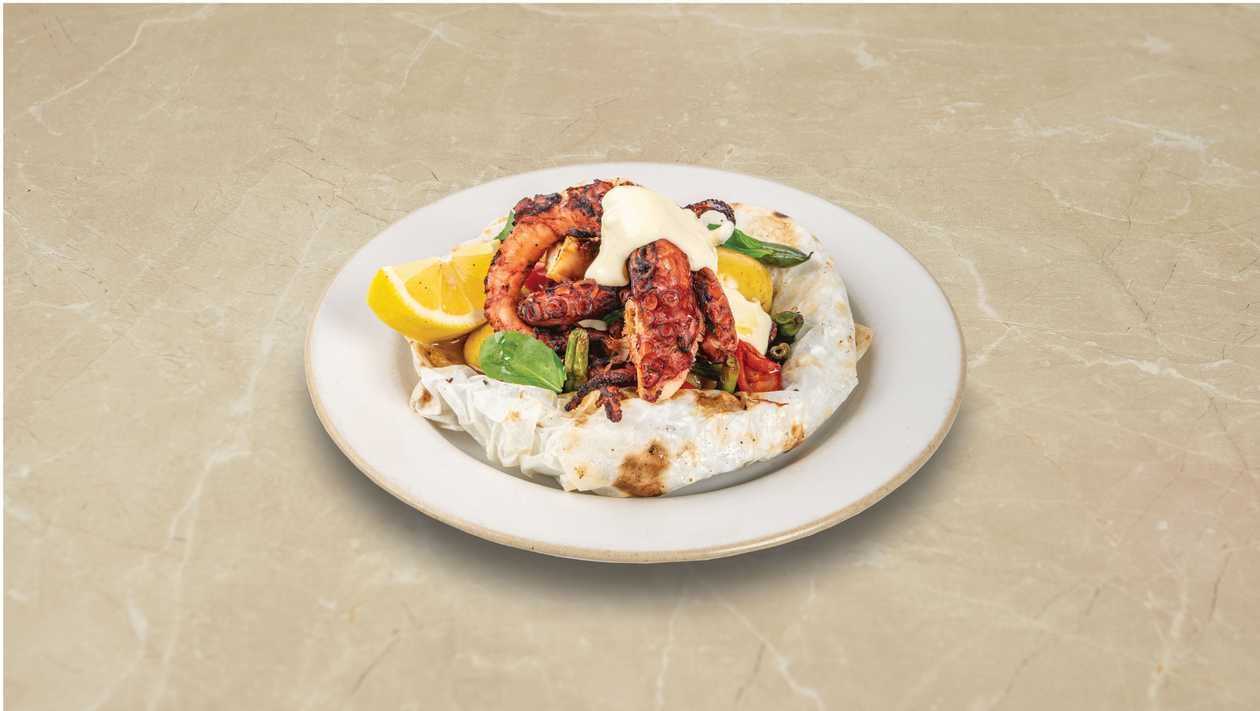 Fish in a Bag Octopus