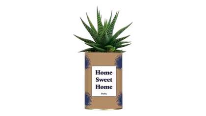 Home Sweet Home Plant