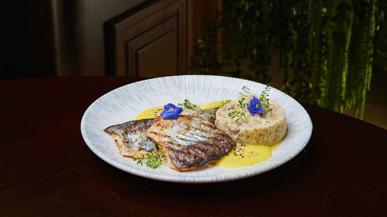 Grilled Trout Fillet