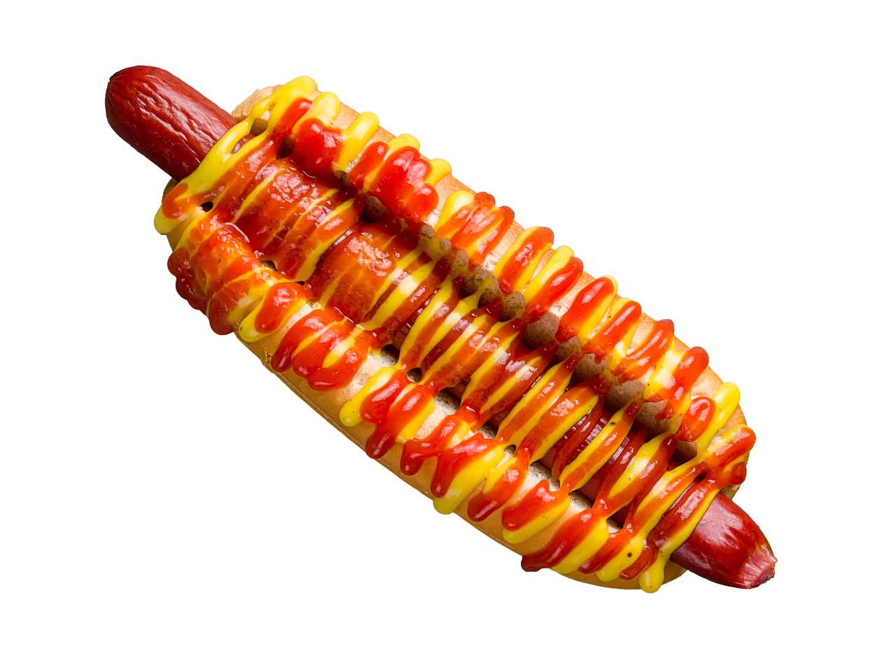 Cachorro de Criança