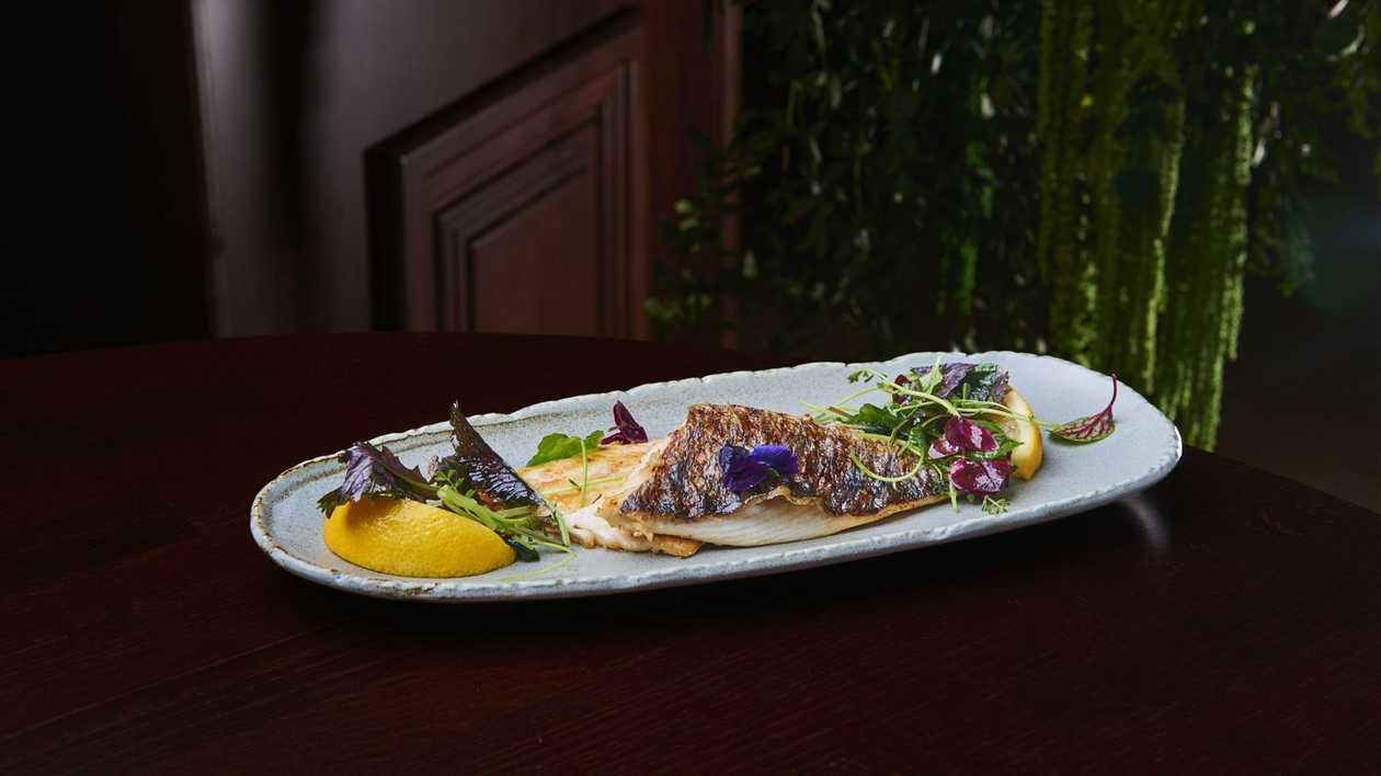 Grilled Sea Bream Fillet