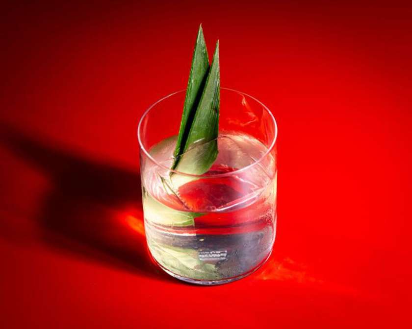 Solara Colada