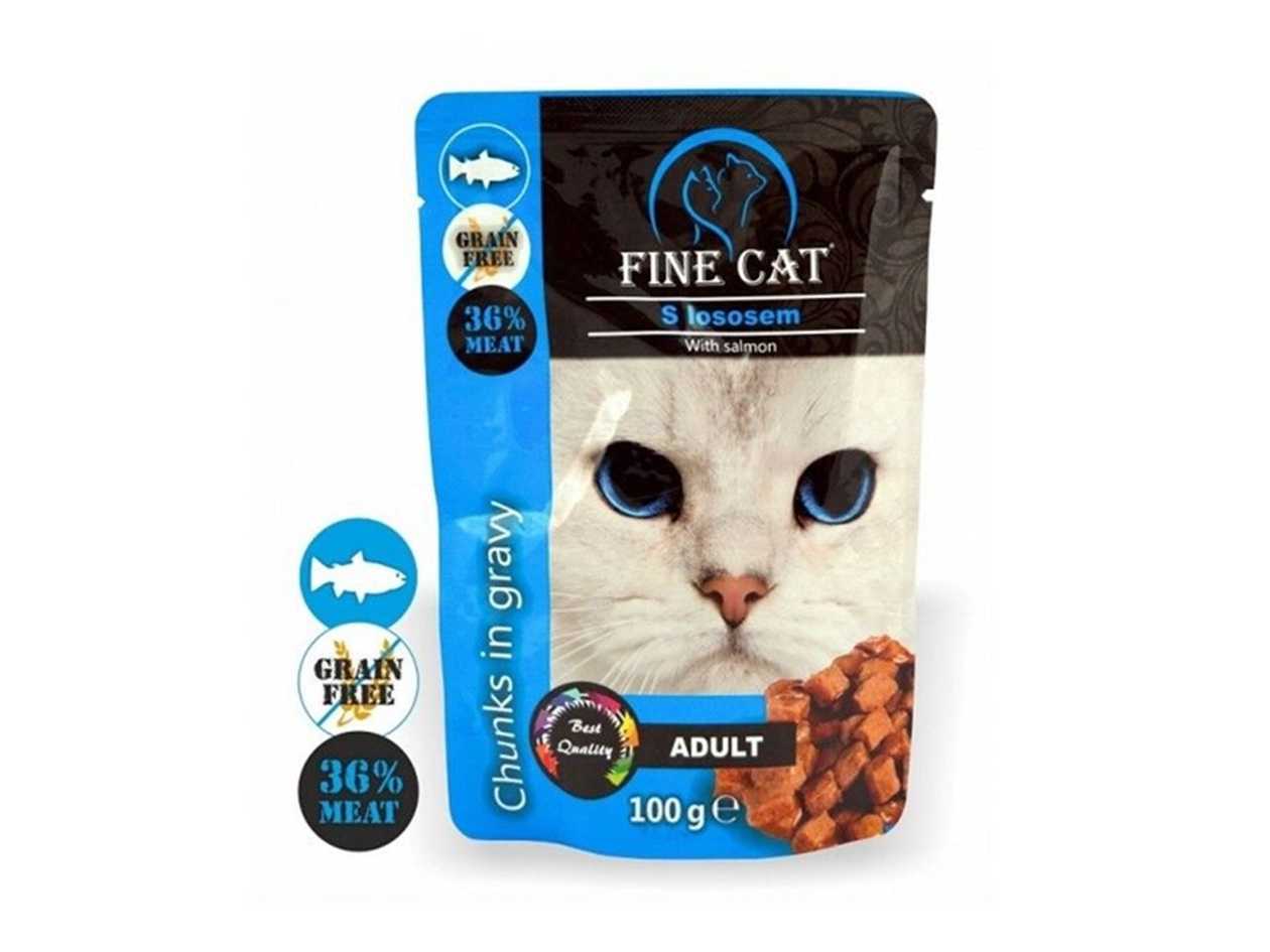Fine Cat Pouch with Salmon in Sauce (0.1kg)