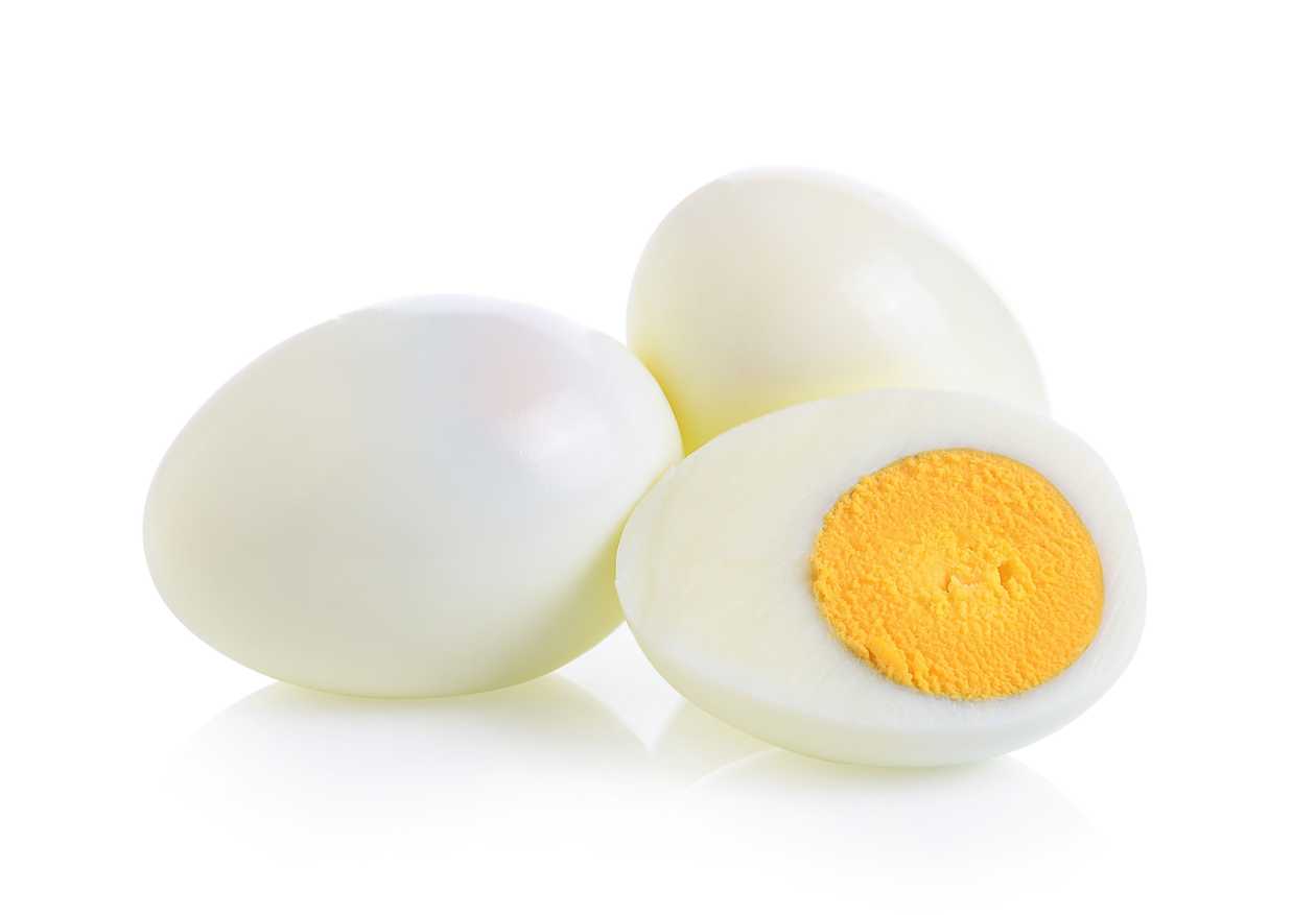Egg